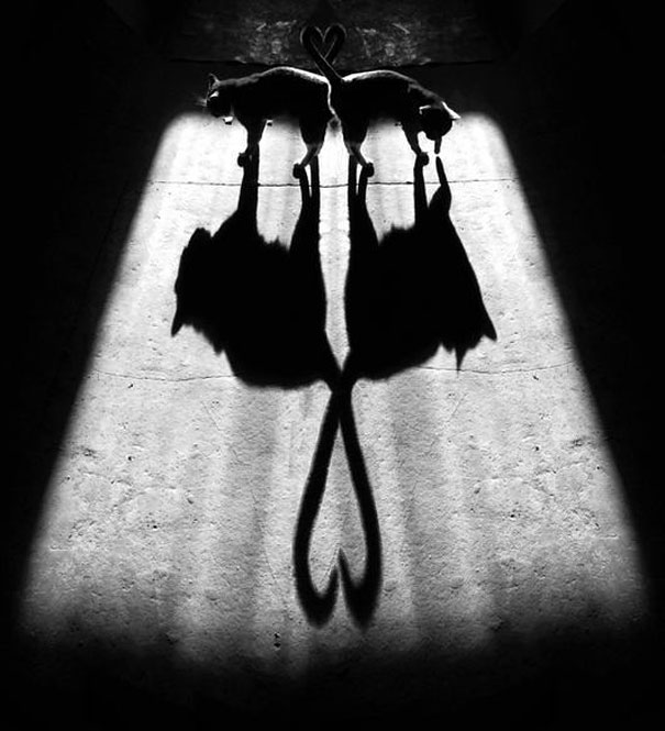 shadow-photography-alexey-bednij-15